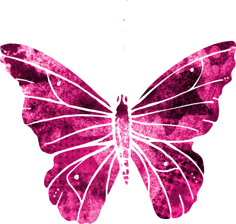 Pink Butterfly Graphic Art