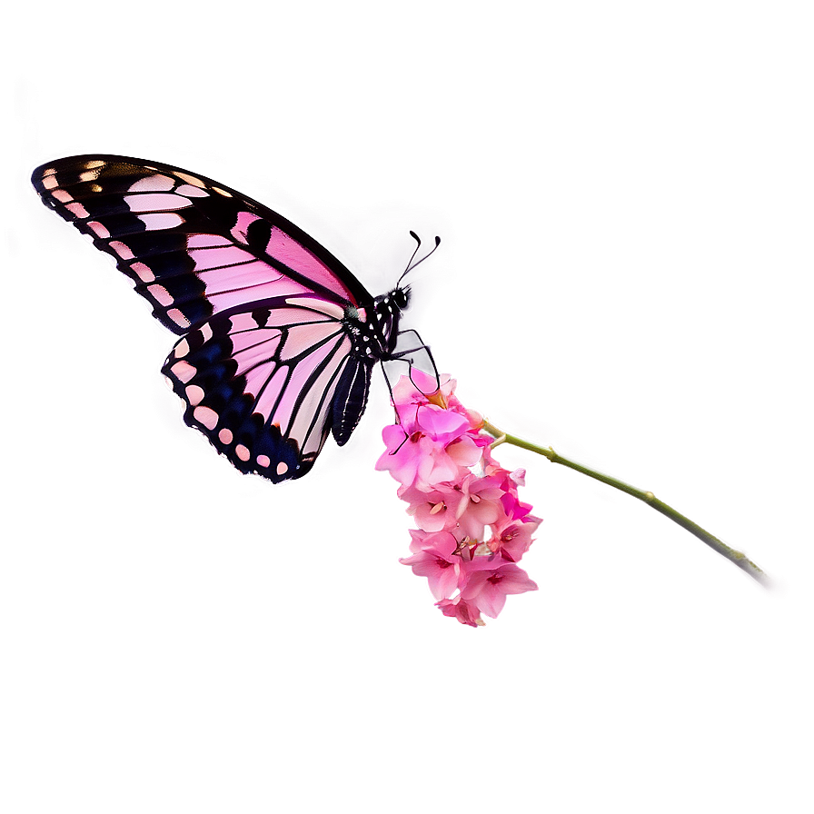 Pink Butterfly In Flight Png Ovo27