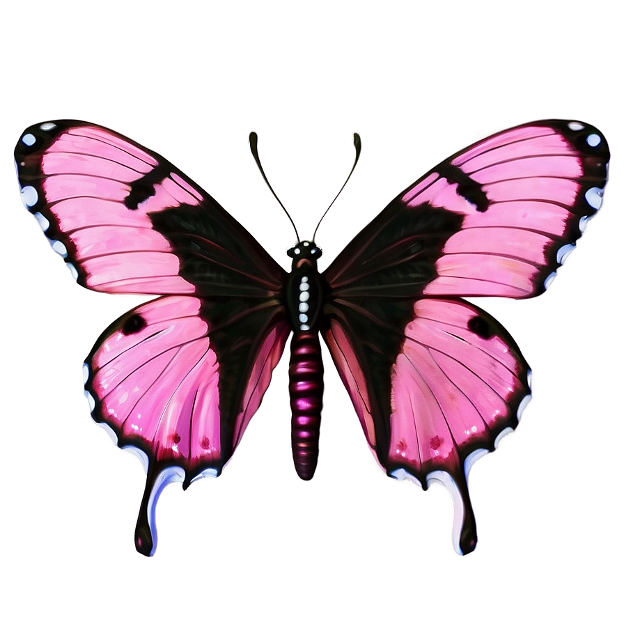 Pink Butterfly In Pure Form Png Pvw