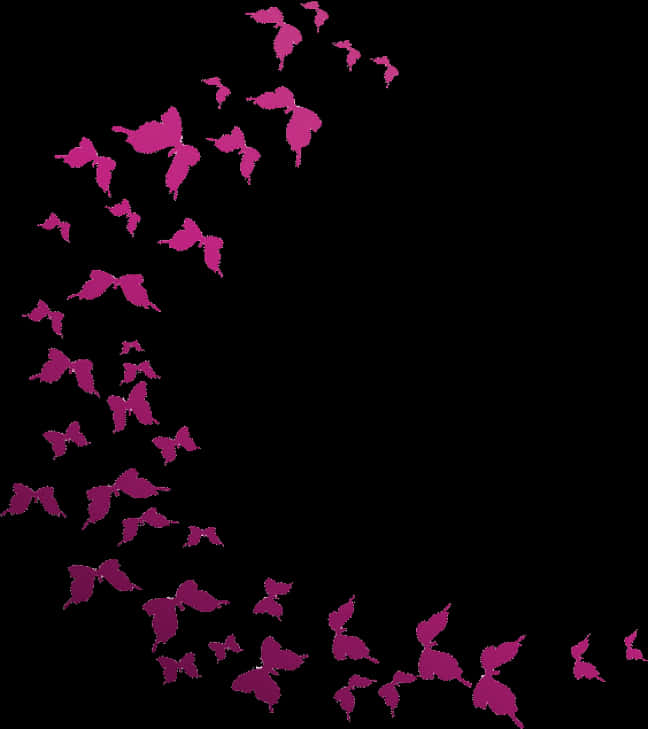 Pink Butterfly Silhouetteson Black