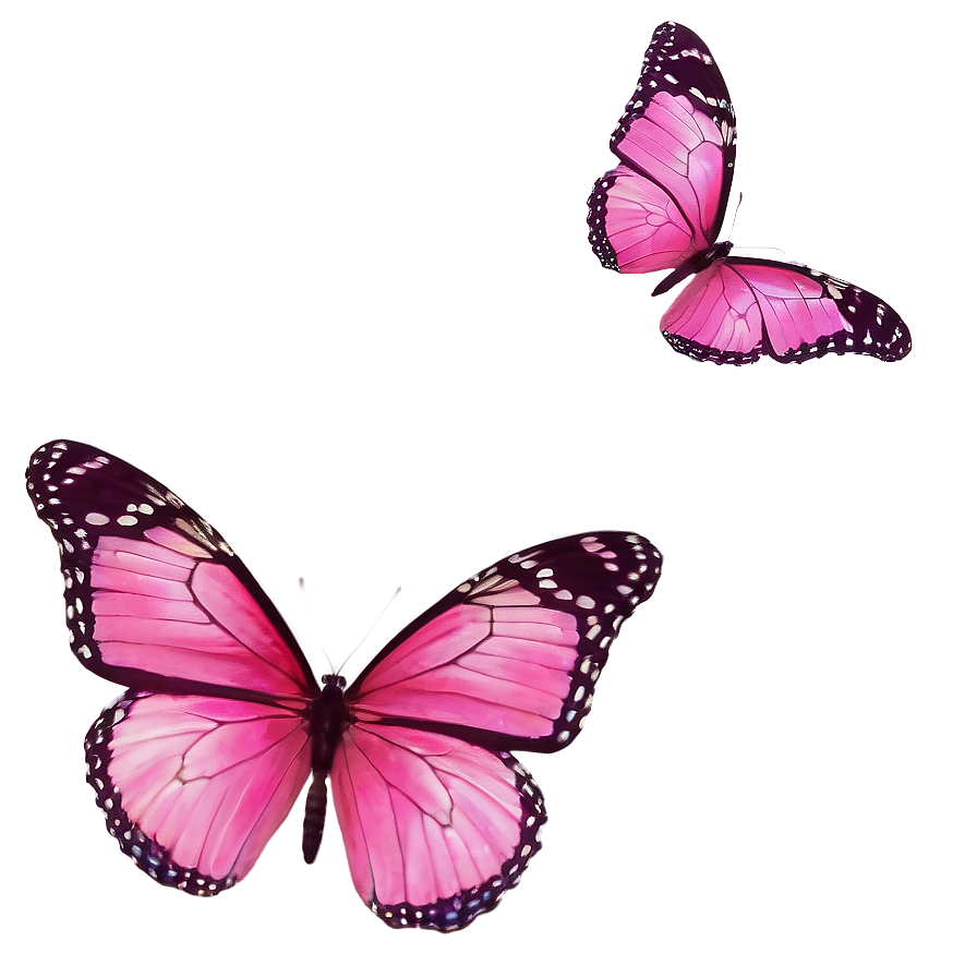 Pink Butterfly True Image Png Nku