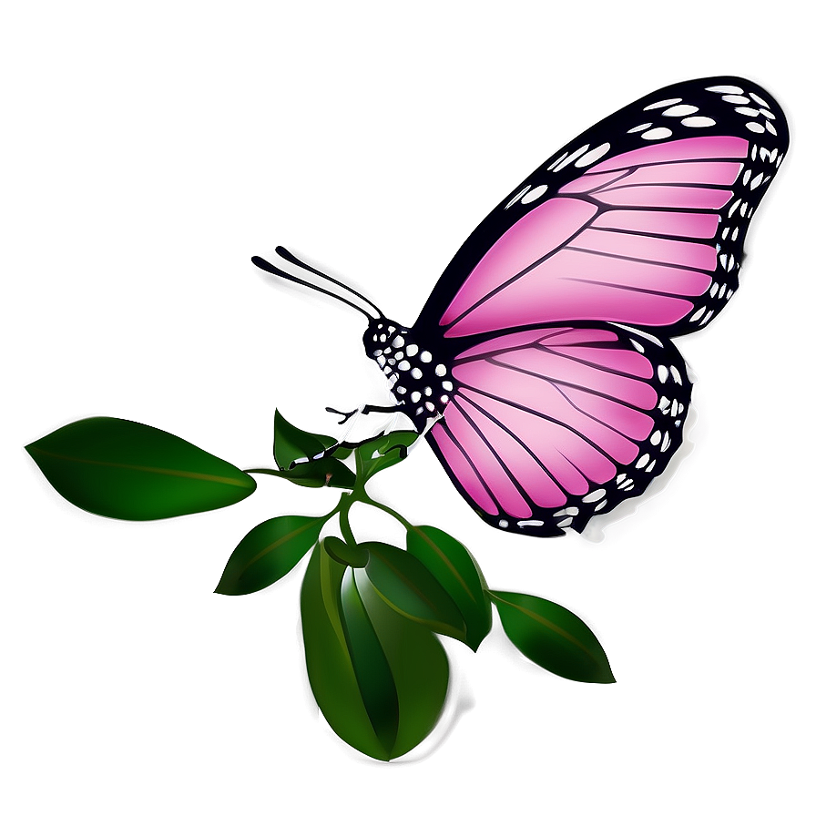 Pink Butterfly With Floral Elements Png 05232024