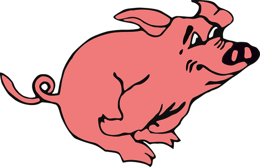 Pink Cartoon Pig Graphic