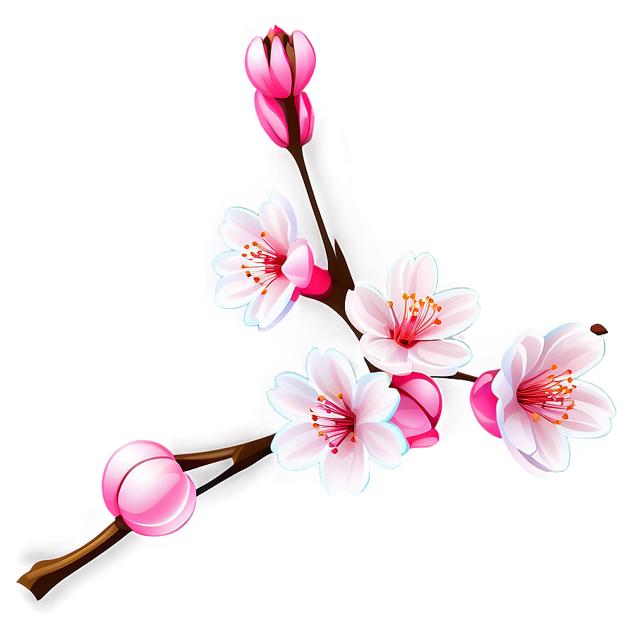 Pink Cherry Blossom Clipart Png 75