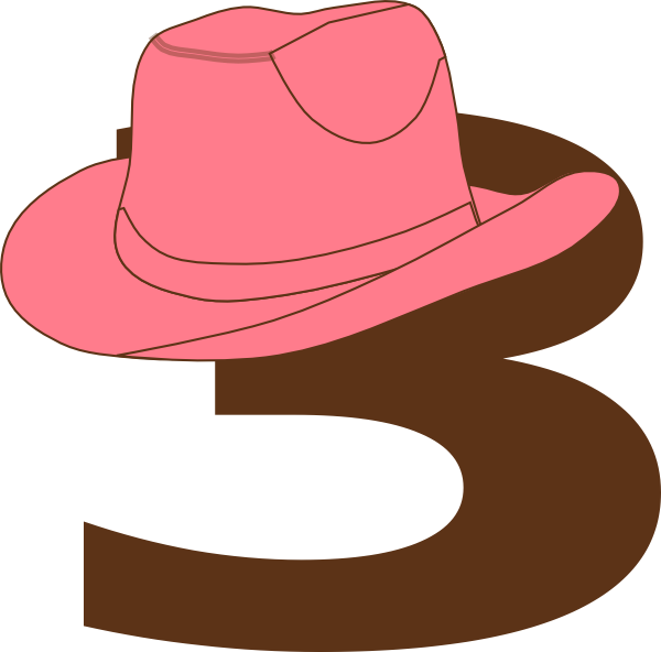 Pink Cowgirl Hat Illustration