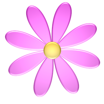 Pink Daisy Illustration