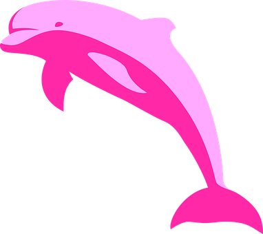 Pink Dolphin Vector Art