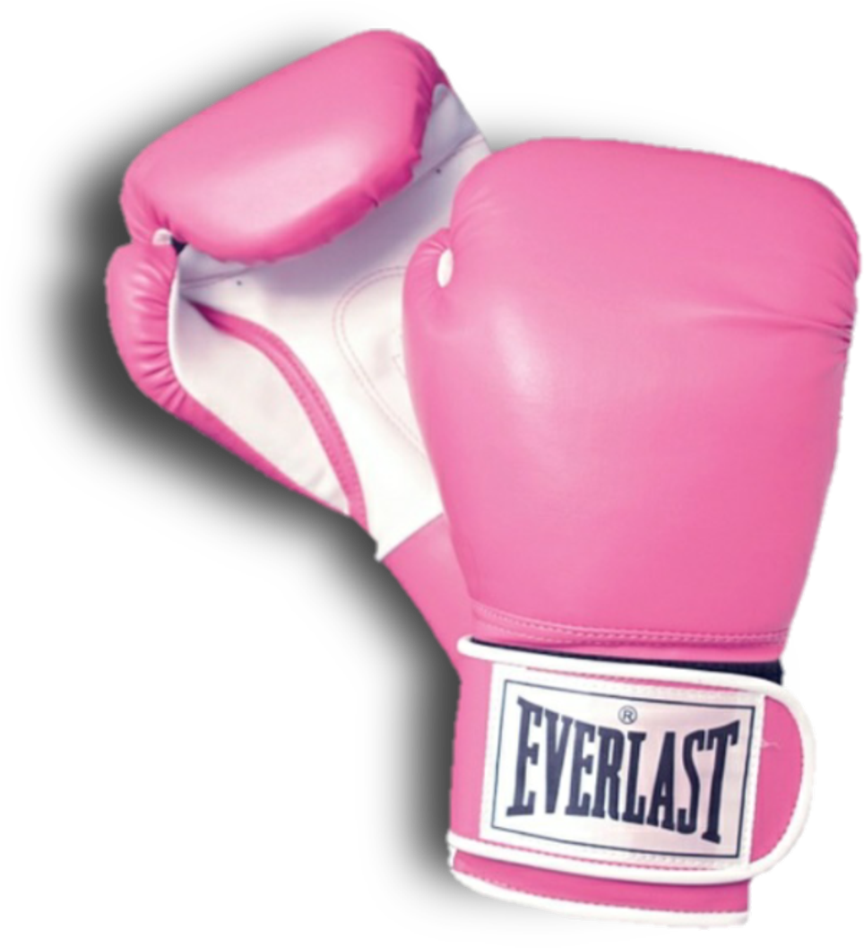 Pink Everlast Boxing Gloves