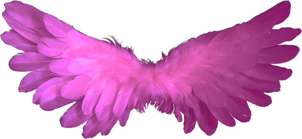 Pink Feathered Angel Wings