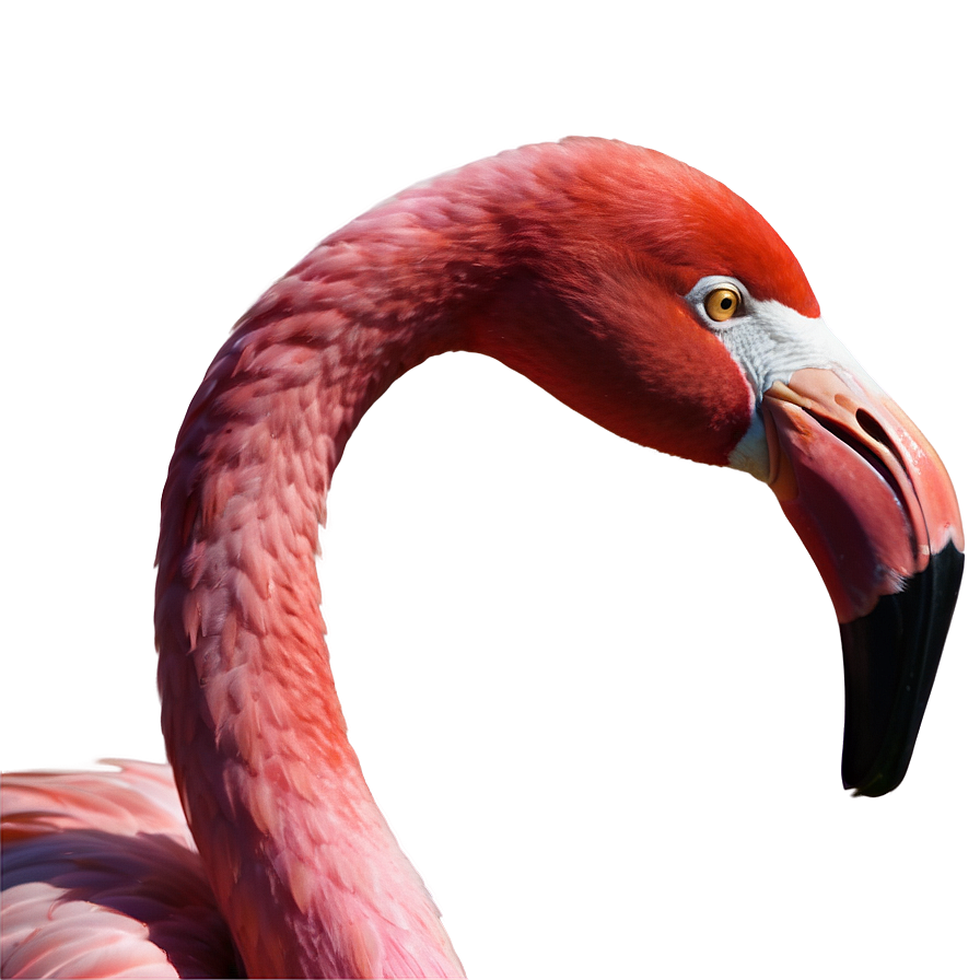 Pink Flamingo Icon Png Slr91