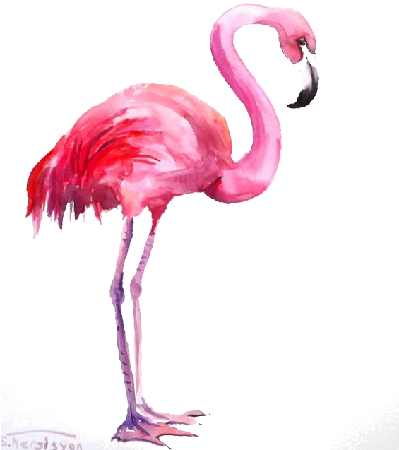 Pink Flamingo Watercolor Artwork