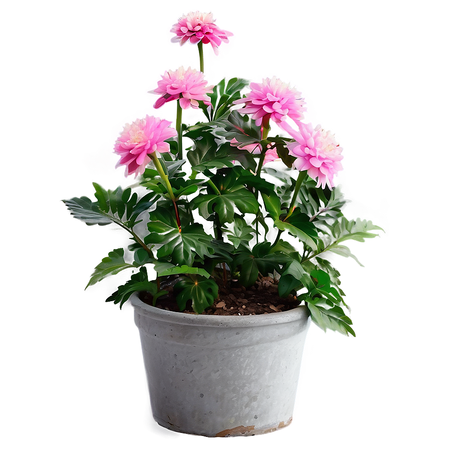 Pink Flower Bush Png 24