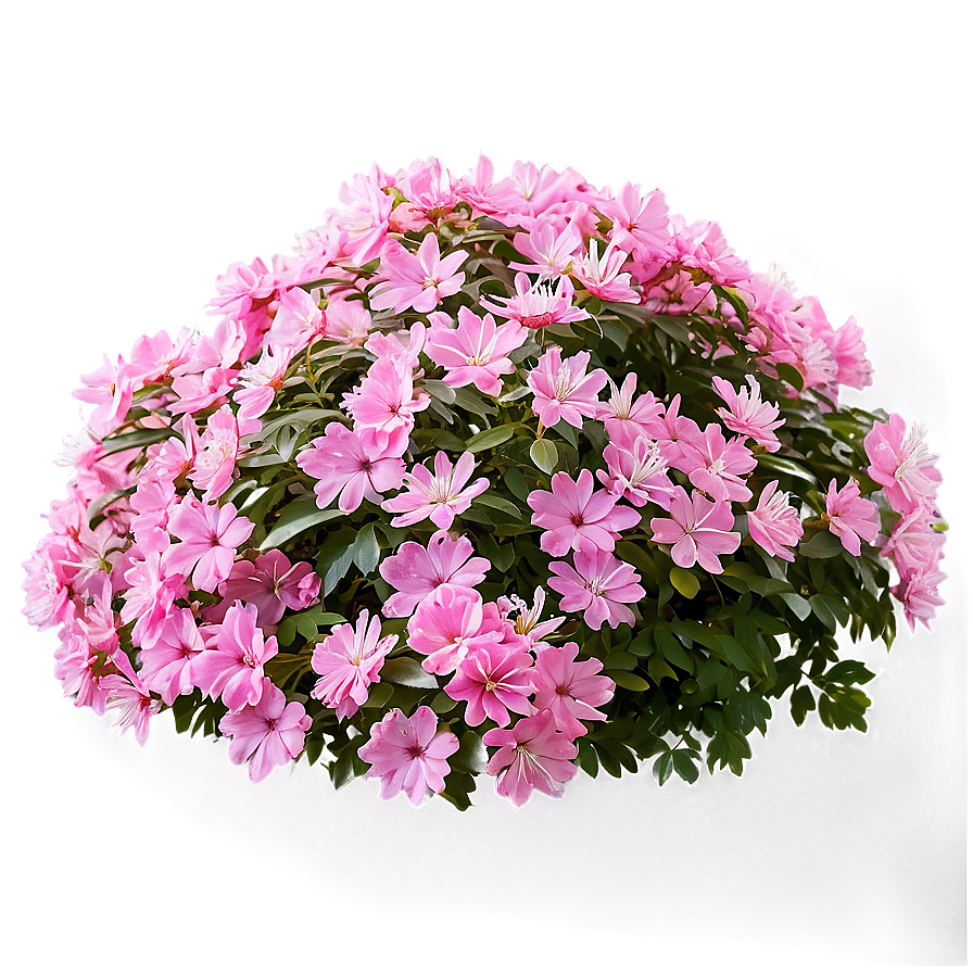 Pink Flower Bush Png Djg84