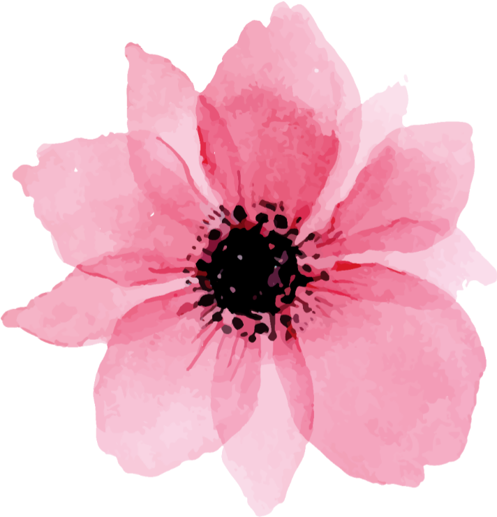 Pink Flower Illustration