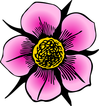 Pink Flower Illustration