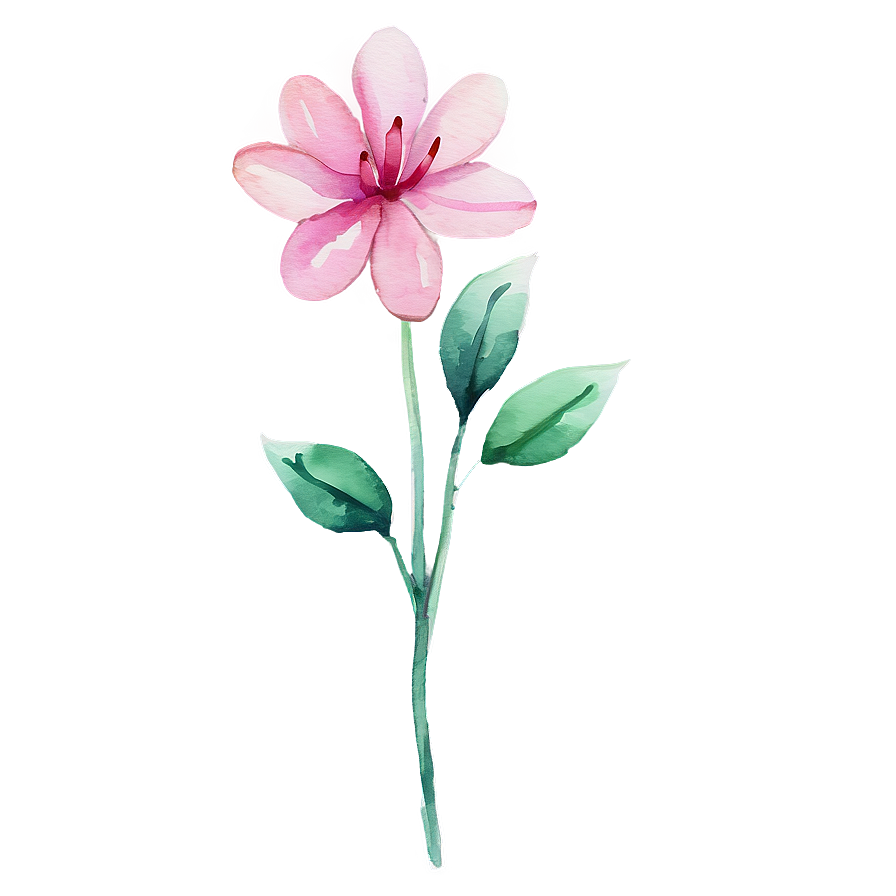 Pink Flower Watercolor Png 05242024