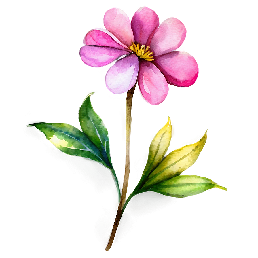 Pink Flower Watercolor Png Dis