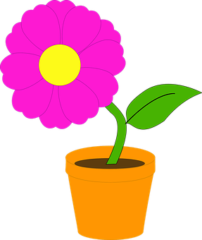 Pink Flowerin Pot Vector Illustration