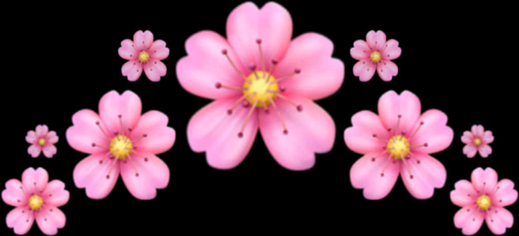 Pink_ Flowers_ Black_ Background