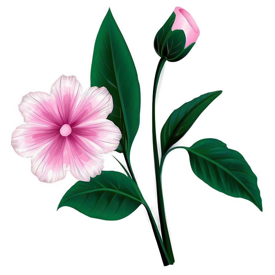 Pink Flowers Drawing Png Wcn46