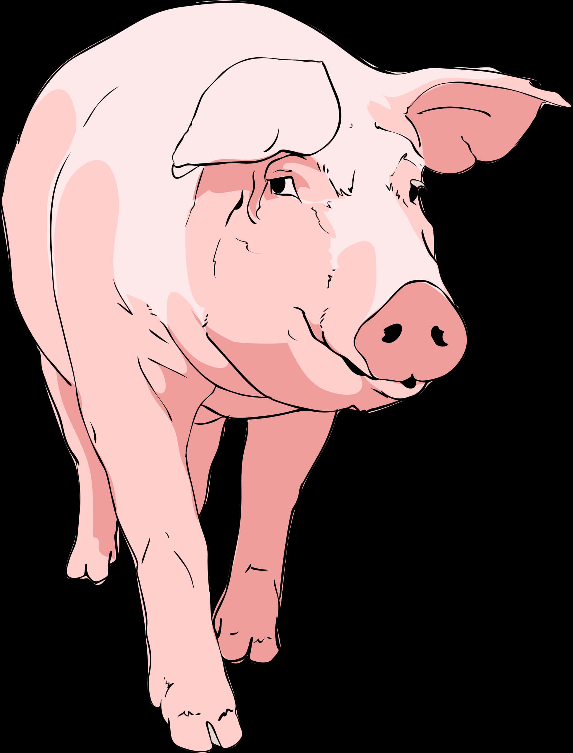 Pink Illustrated Pig