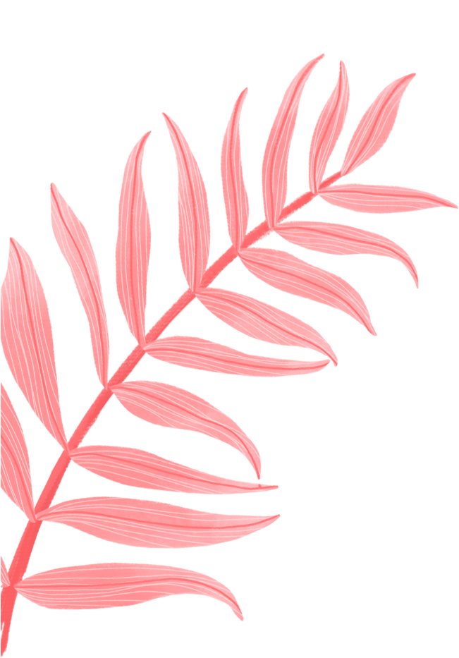 Pink Leaves Illustration