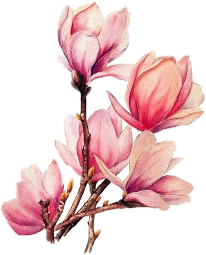 Pink Magnolia Blossoms Tattoo Design