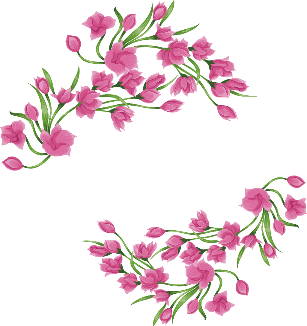 Pink Magnolia Blossoms Vector