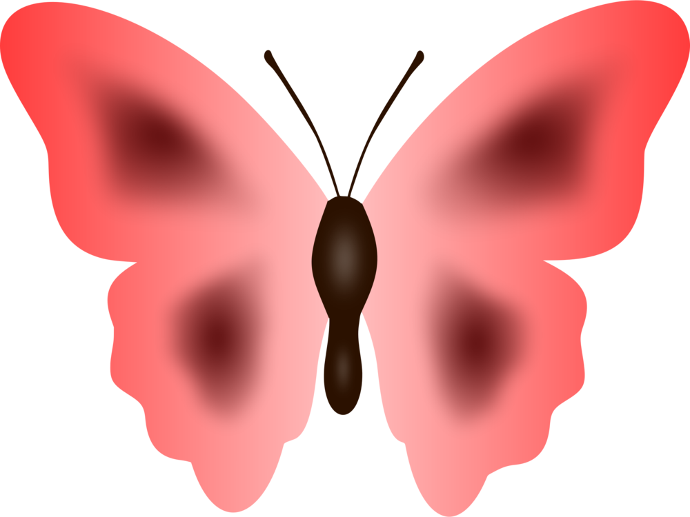 Pink Moth Illustration.png