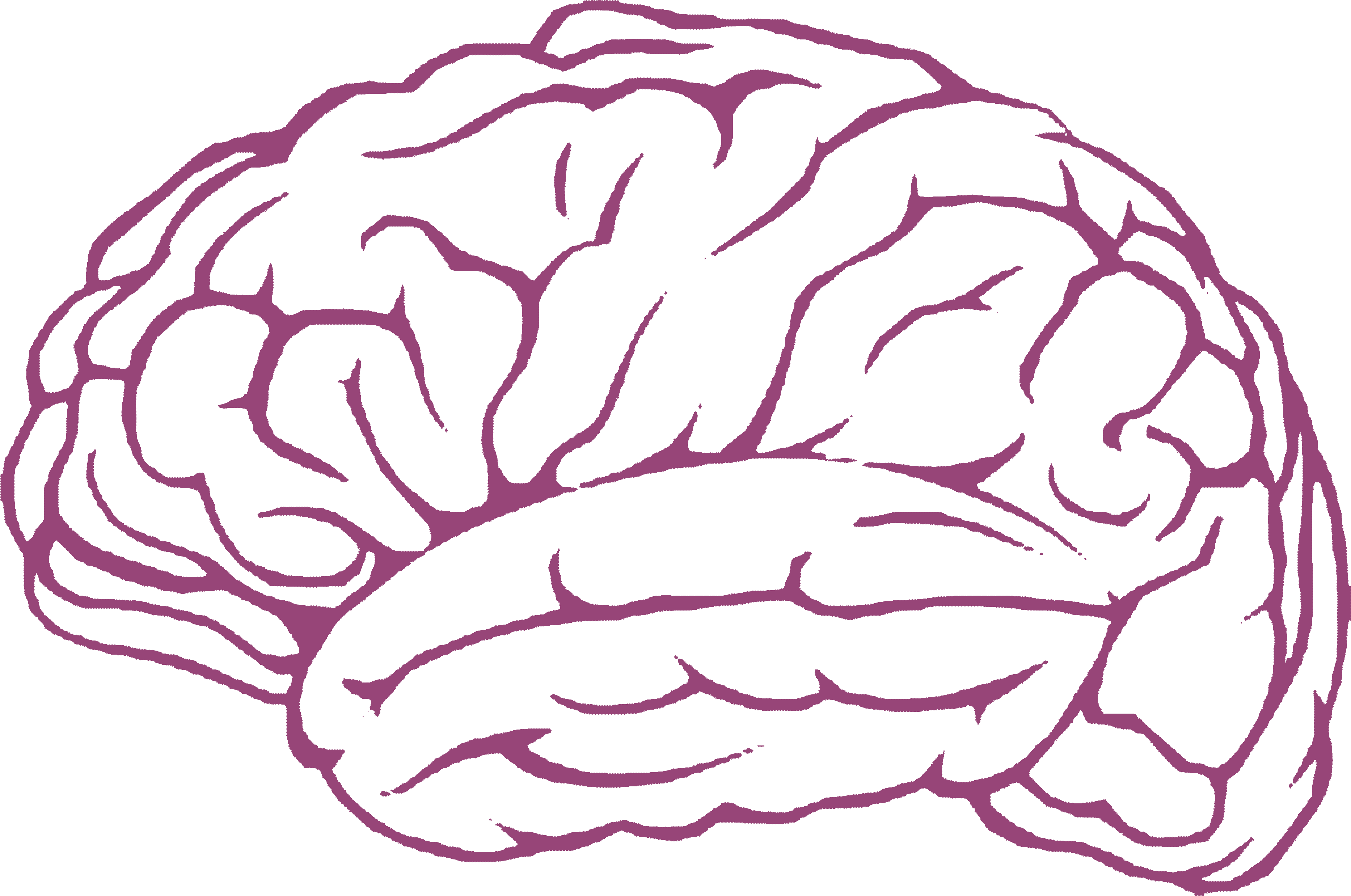 Pink Outline Brain Illustration