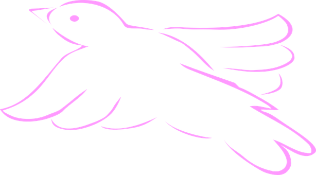 Pink Outlined Bird Silhouette