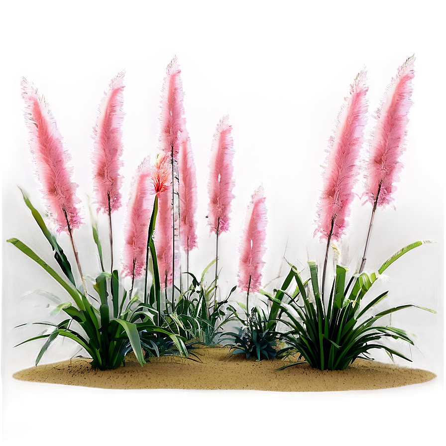 Pink Pampas Grass Png 06122024