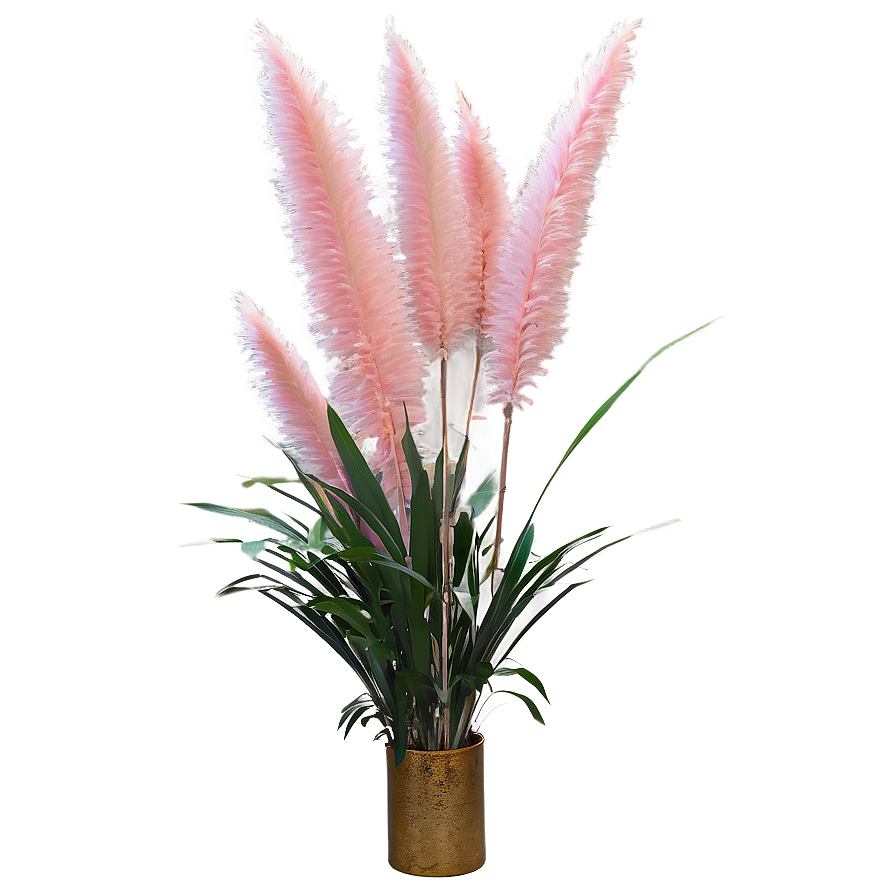 Pink Pampas Grass Png Sds