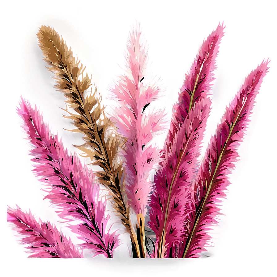 Pink Pampas Stems Png 06272024