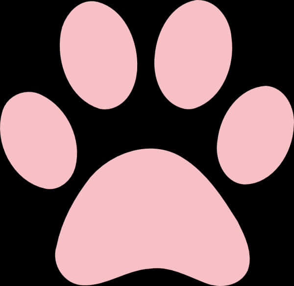 Pink Paw Print Black Background