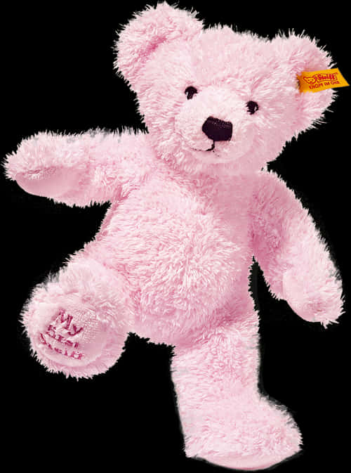 Pink Plush Teddy Bear