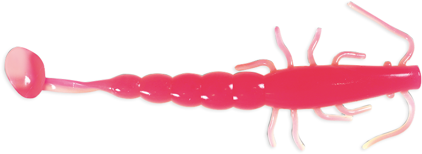 Pink Prawn Graphic