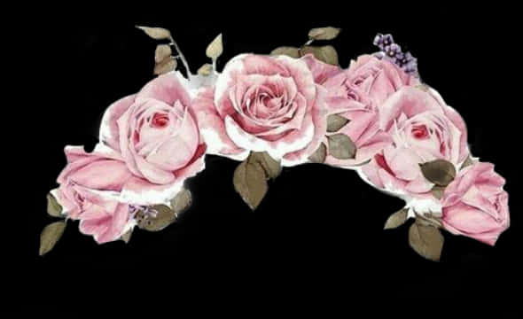 Pink Roses Black Background