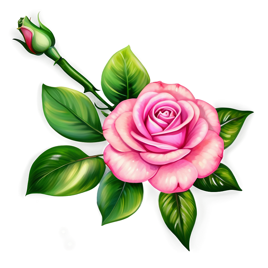 Pink Roses Hand Painted Png 74