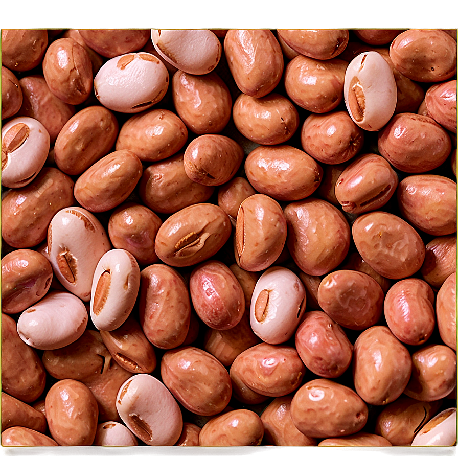 Pinto Beans Can Png Rbk26