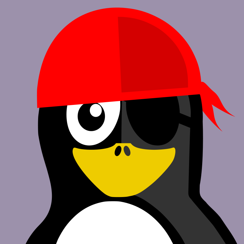 Pirate Penguin Cartoon Character