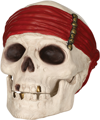 Pirate Skullwith Red Bandana