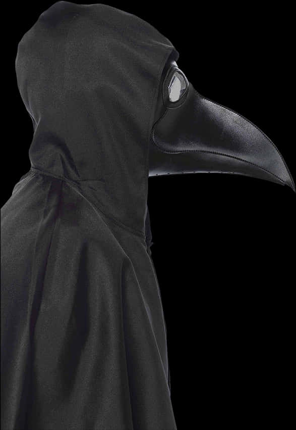 Plague Doctor Costume Profile