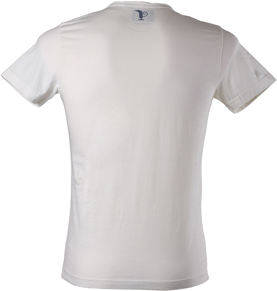 Plain White T Shirt Back View