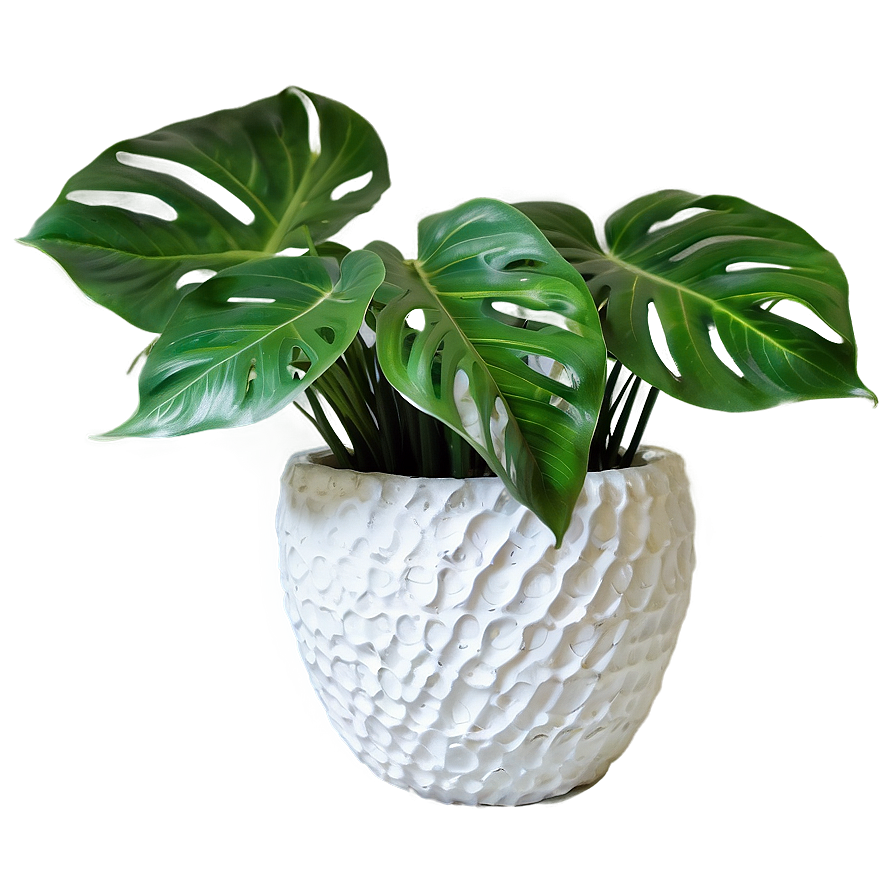 Plant-inspired Home Decor Png Ugt12