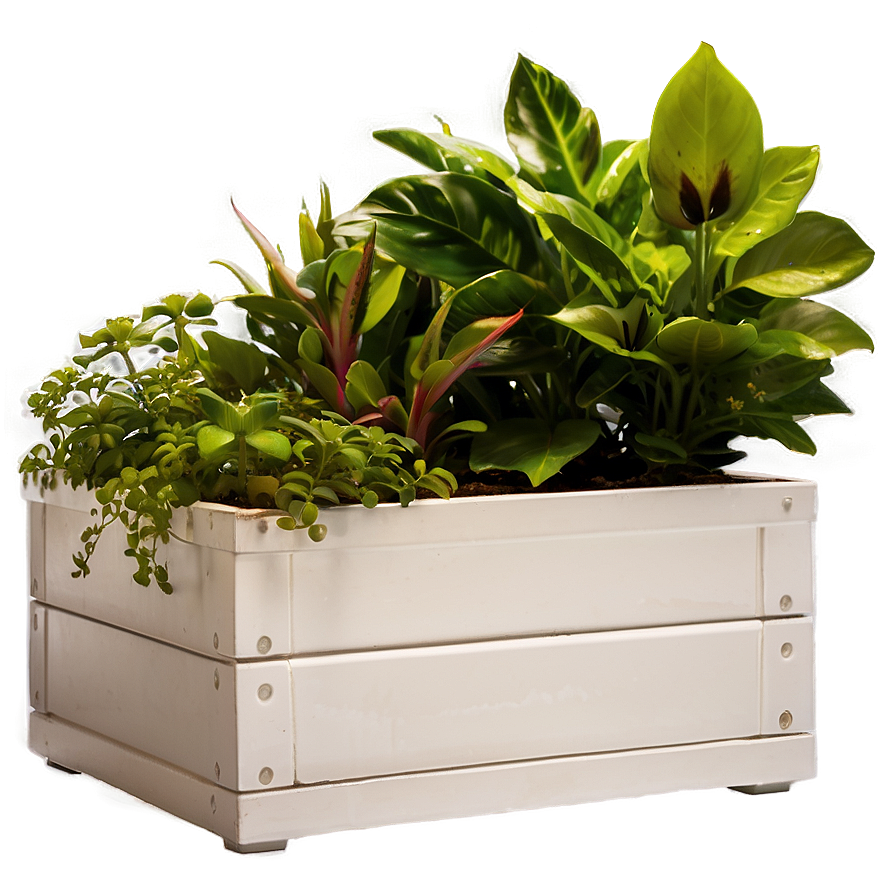 Planter Box D