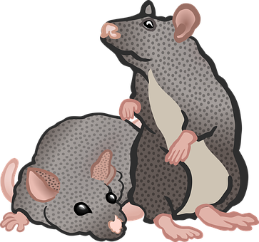 Playful Cartoon Rats