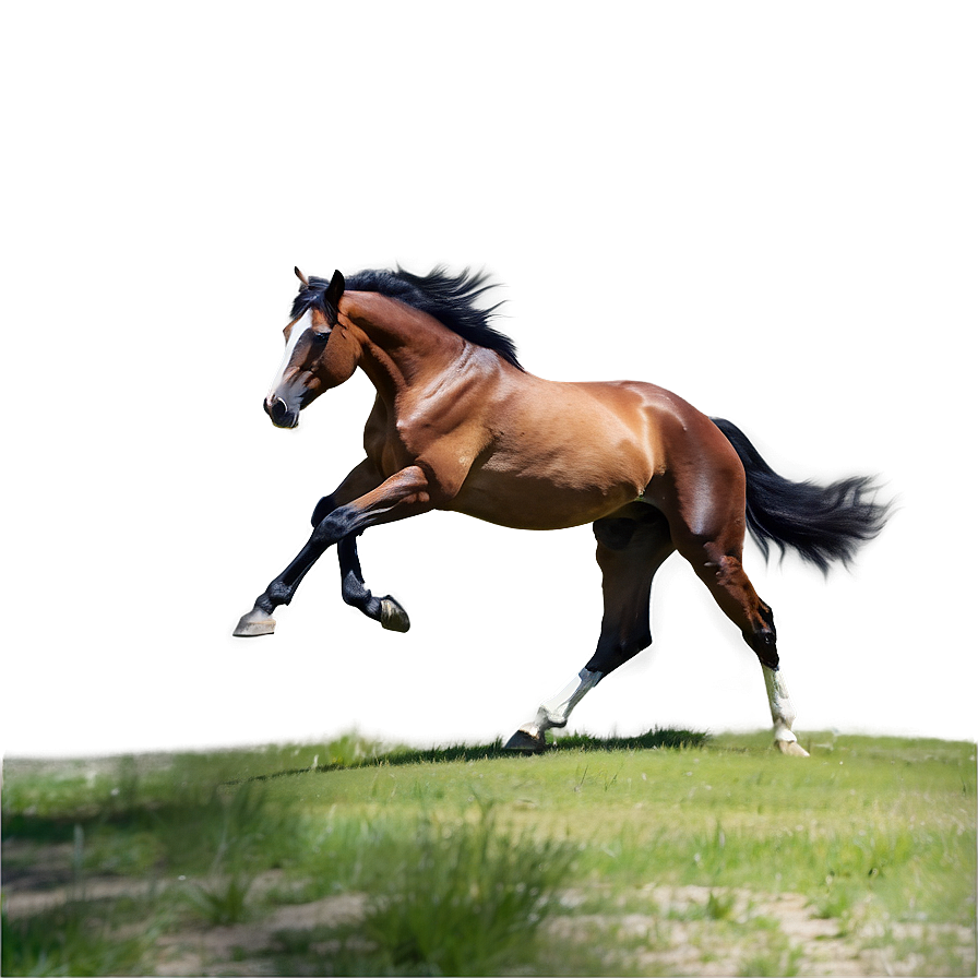 Playful Mustang Horse Scene Png Gex9