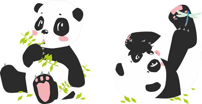 Playful Panda Cartoons