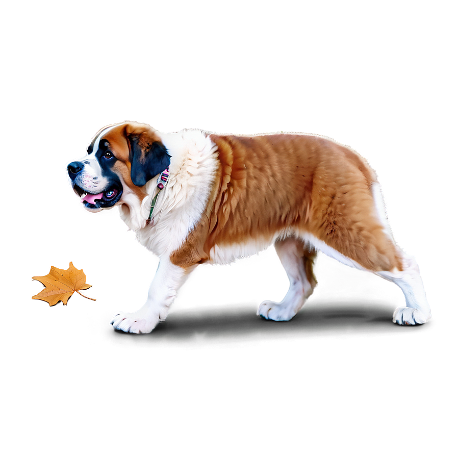 Playful St Bernard In Leaves Png 78